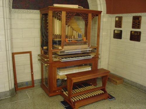 Rathke organ